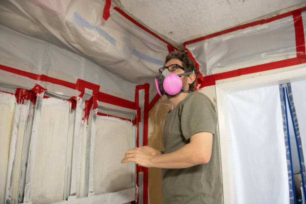  Silver City, NM Mold Removal Pros