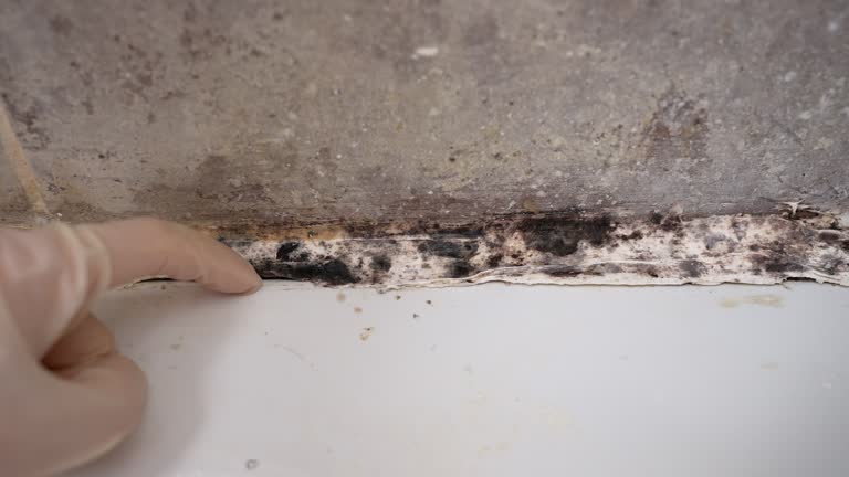 Best Indoor Air Quality Assessment  in Silver City, NM